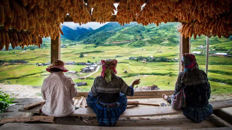 Northern Vietnam - The Golden Harvest @ Mu-Cang-Chai