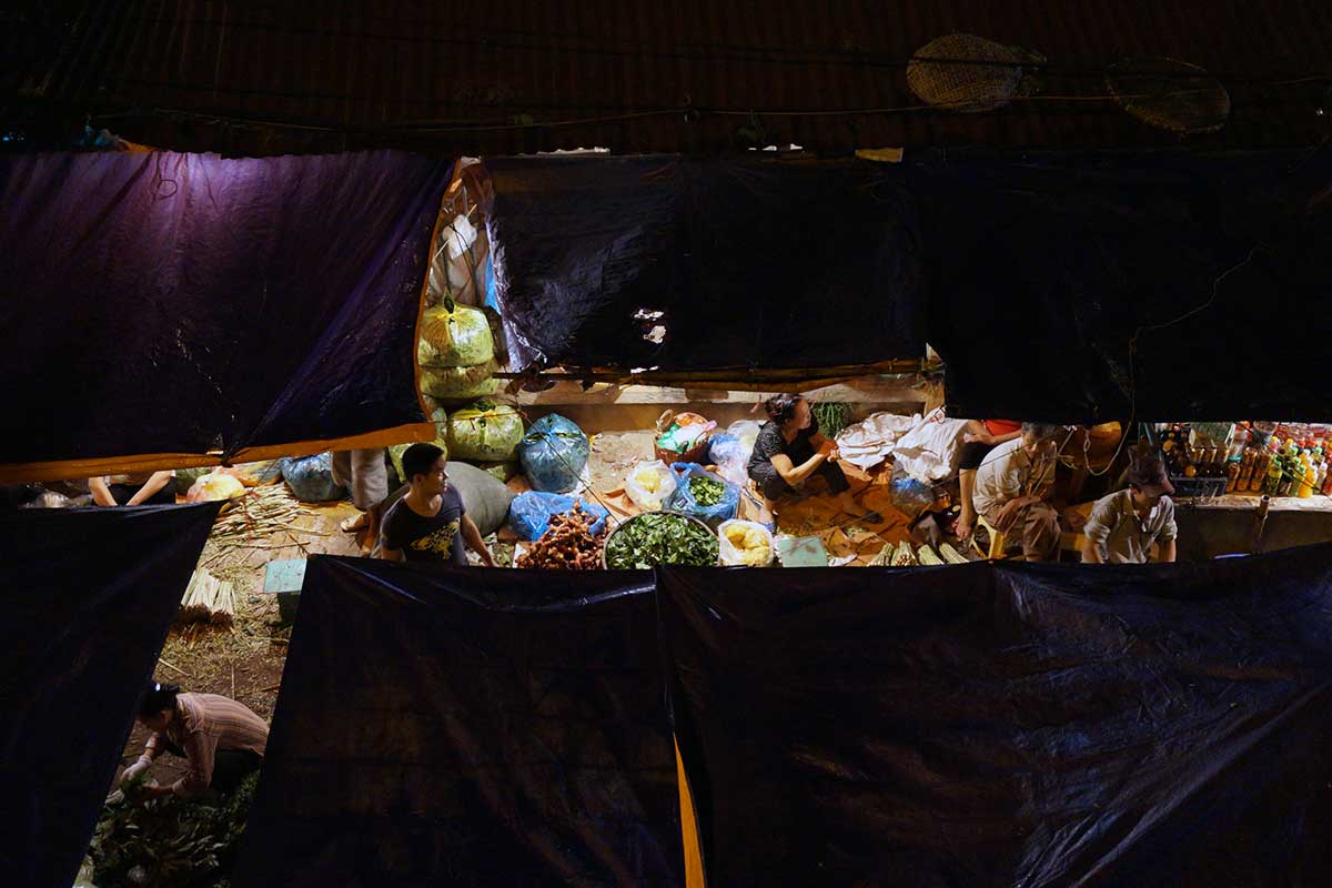 Hanoi city tour of Long Bien Market travel photography