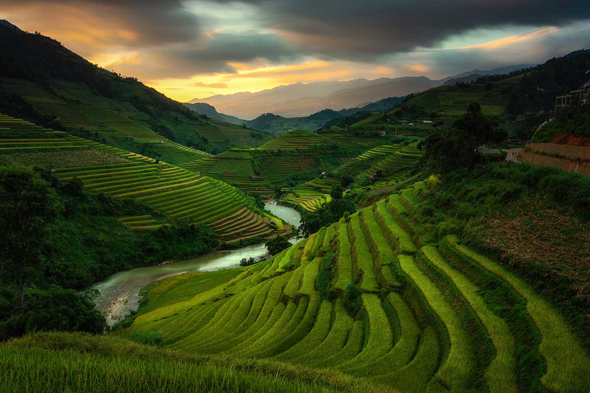 Mu Cang Chai