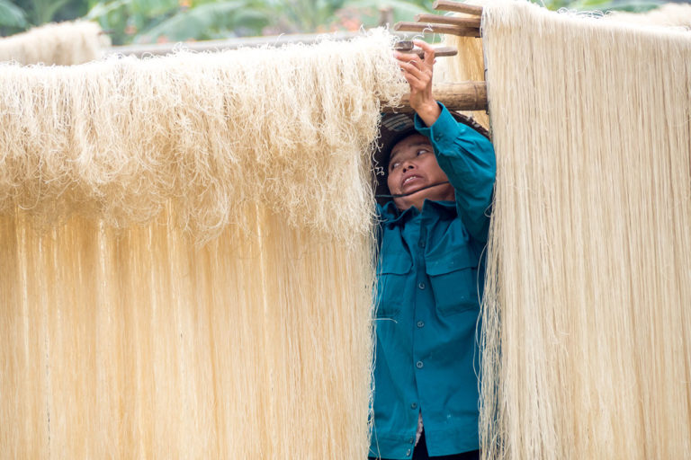 Vermicelli Village