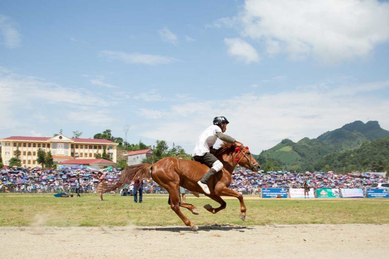 Bac Ha Horse Racing Festival