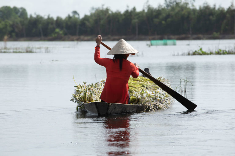 Mekong Delta Southern Vietnam