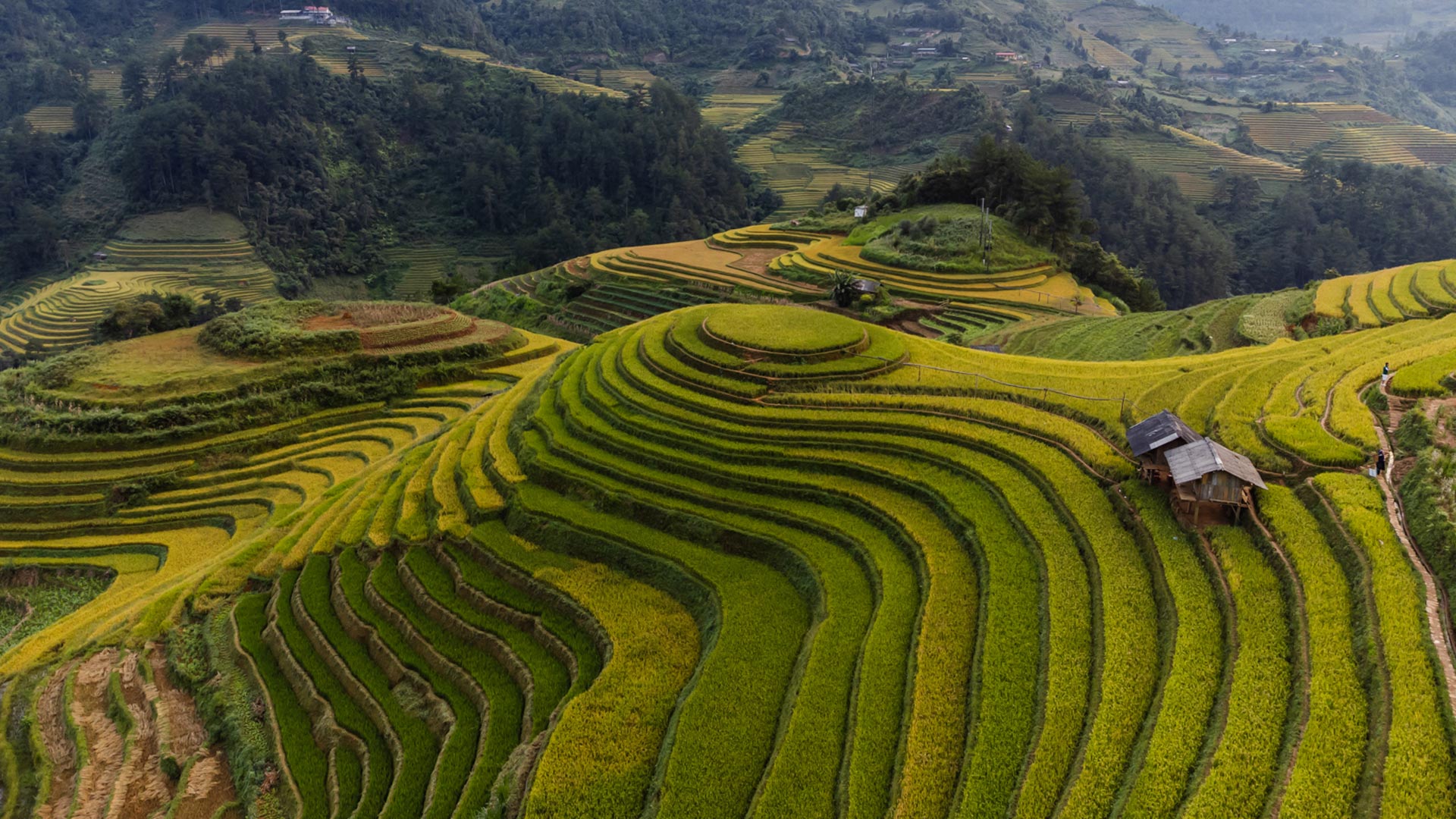 Beyond the Terraces - Mu Cang Chai