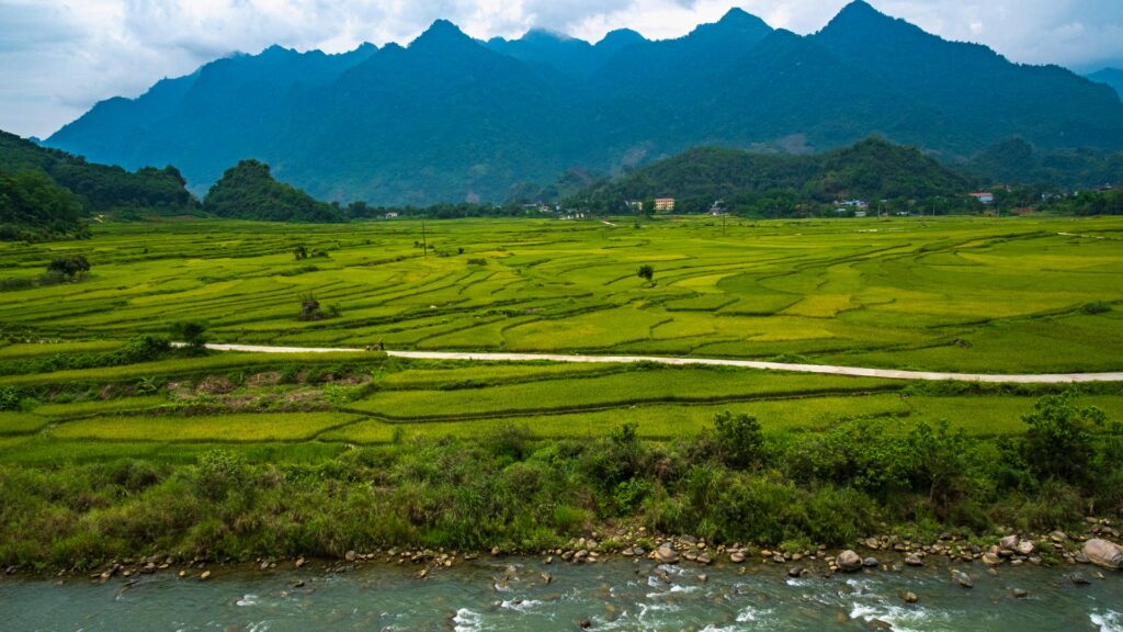 Golden Steps - Lai Chau