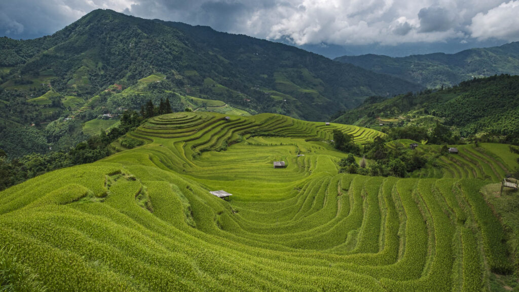 Hoang Su Phi - Landscape