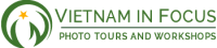 VIF_logo_horizontalx2
